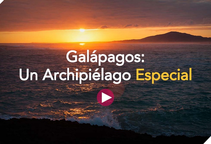 Gráficos de Galápagos: Un Archipielágo Especial